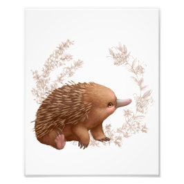 Little Aussie Friends - Echidna Fotodruck