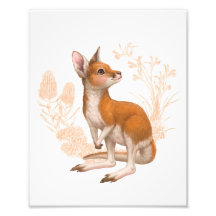 Little Aussie Friends - Kangaroo - Farbe