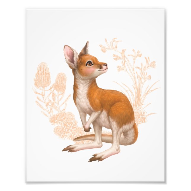 Little Aussie Friends - Kangaroo - Farbe Fotodruck (Vorne)