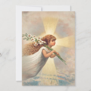 Little Baby Engel Hollis Einladung