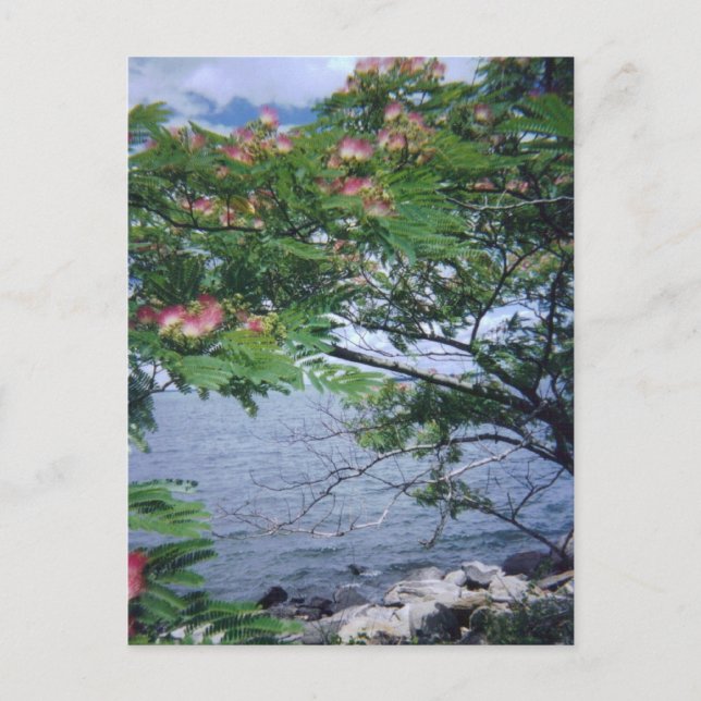 Little Bay Park, Queens, NY Postkarte (Vorderseite)