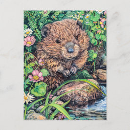 Little Beaver von der Creek Bank Postkarte
