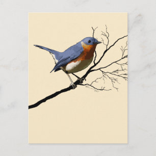 Little Bird Blue, Postkarte