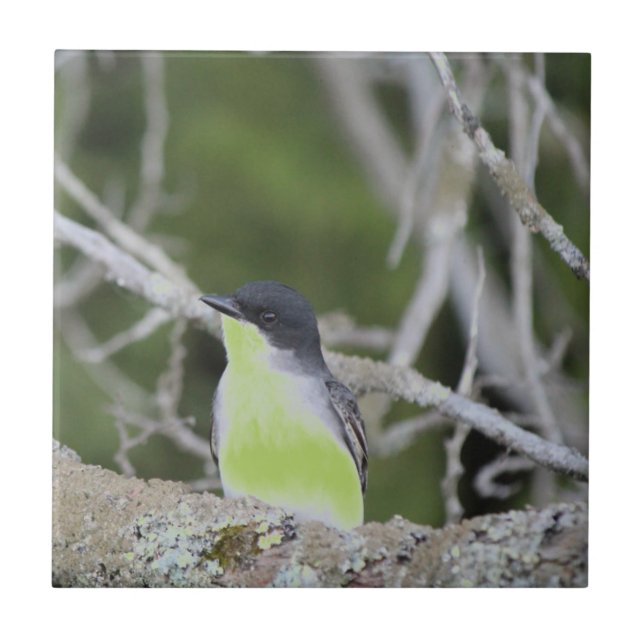 Little Bird Keramik Tile Fliese (Vorderseite)