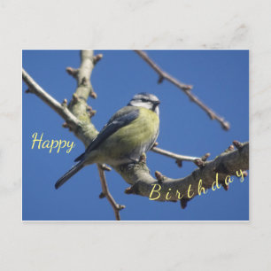Little Bird mit Blue Sky Happy Birthday Postcard Postkarte
