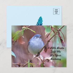 Little Birdie Birthday Postcard Postkarte