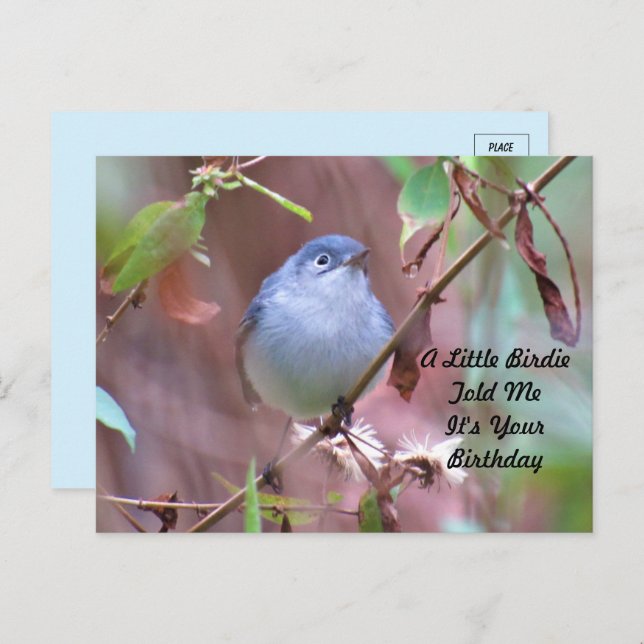 Little Birdie Birthday Postcard Postkarte (Vorne/Hinten)