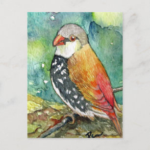 Little Birdy Postkarte