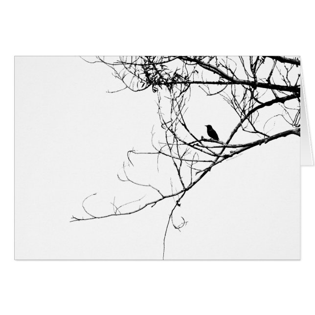 Little Black Bird Card (Vorderseite (Horizontal))