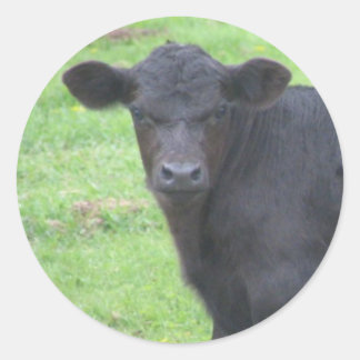 Little Black Bull Runder Aufkleber