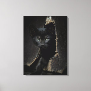 Little Black Kitty Leinwanddruck