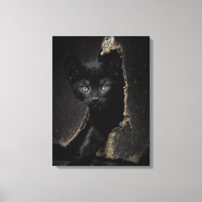 Little Black Kitty Leinwanddruck (Vorderseite)