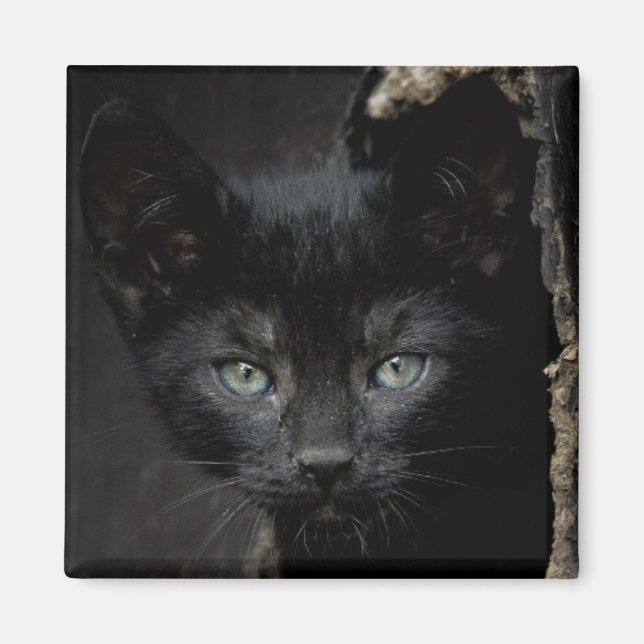 Little Black Kitty Magnet (Vorne)