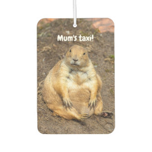 Little Black-Tails Prairie Dog Autolufterfrischer