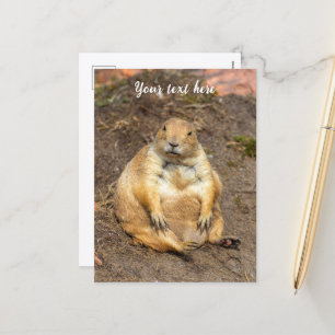 Little Black-Tails Prairie Dog Feiertagspostkarte
