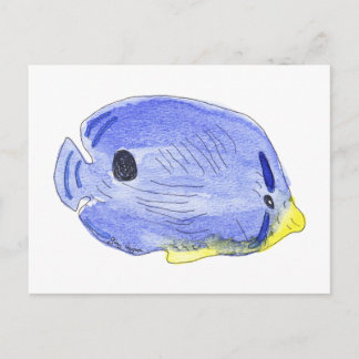 Little Blue Fish Postcard Postkarte