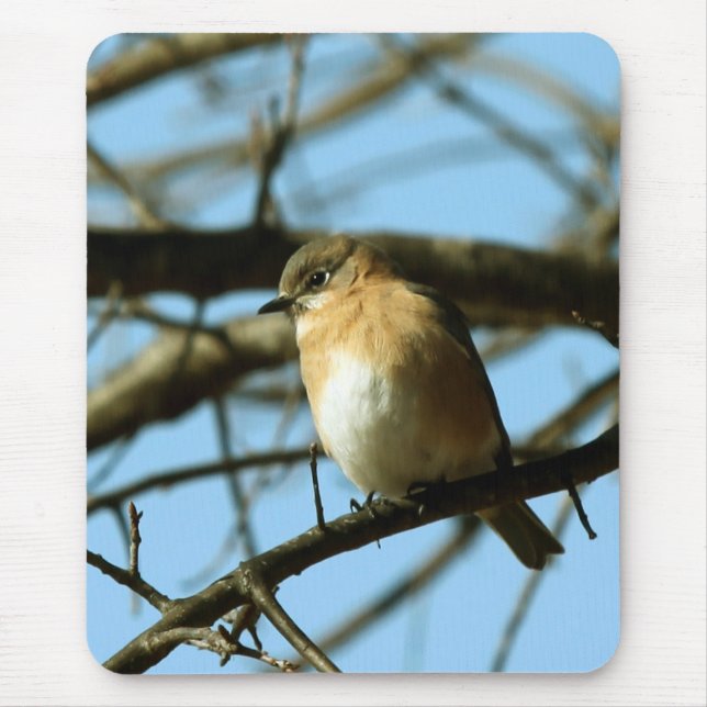 Little Blue Mousepad (Vorne)