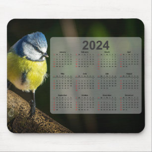 Little Blue Tit Bird 2024 Kalender Mousepad