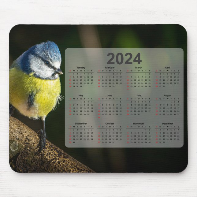 Little Blue Tit Bird 2024 Kalender Mousepad (Vorne)
