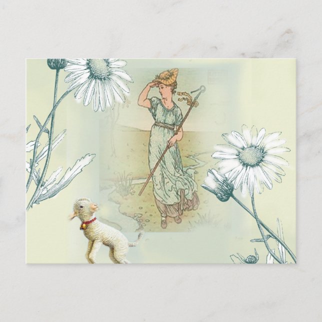 Little Bo Peep Postkarte (Vorderseite)