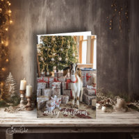 Little Boer Goat Bereit zu Weihnachten