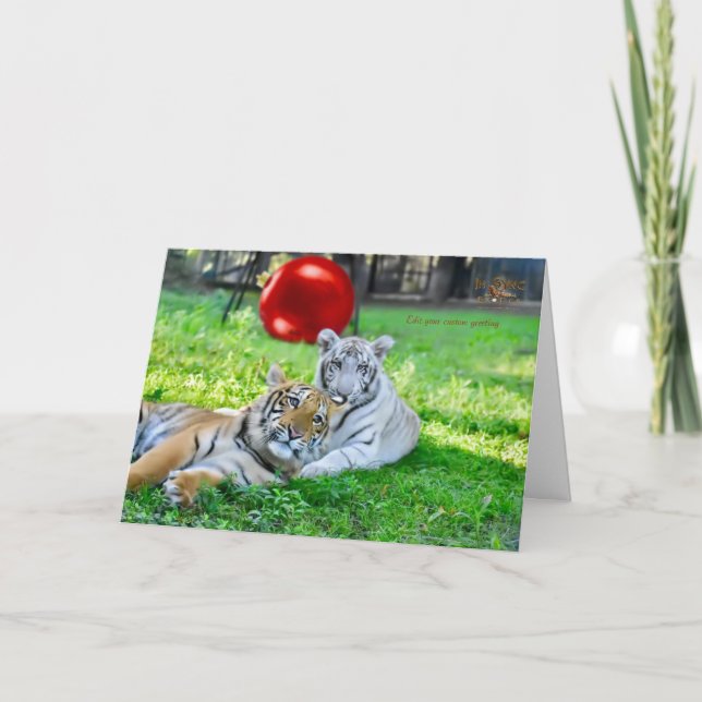 Little Boys Christmas Feiertagskarte (Vorderseite)