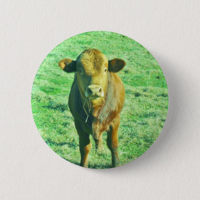 Little Brown Cow in Pastel Green Grass Button (Vorderseite)