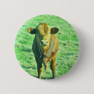 Little Brown Cow in Pastel Green Grass Button