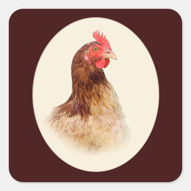 Little Brown Hen Stickers (Vorderseite)