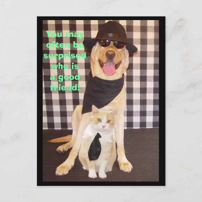 Little Buddy Postkarte (Vorderseite)