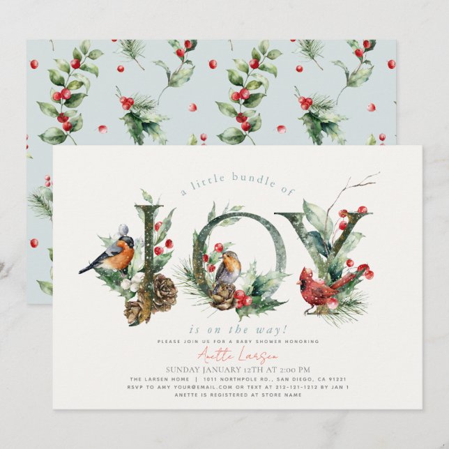 Little Bundle of Joy Birds Boy Baby Shower Einladung (Vorne/Hinten)