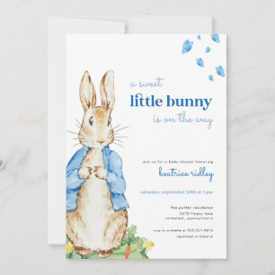 Little Bunny Peter Rabbit Kinderdusche Einladung