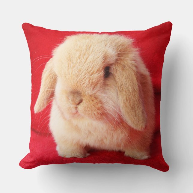Little Bunny Pillow Kissen (Vorderseite)
