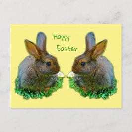 Little Bunny Postkarte