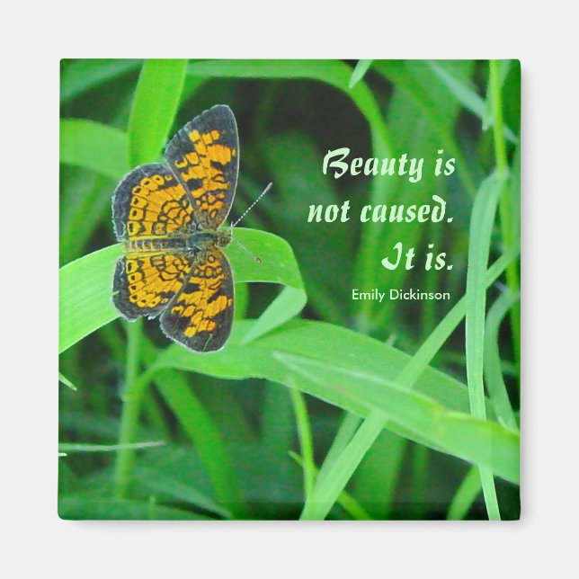 Little Butterfly Magnet (Vorne)