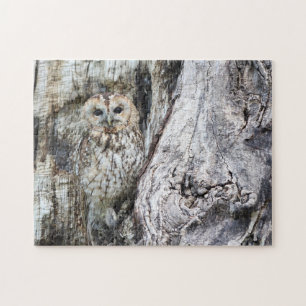 Little Camouflage Owl in Tree Puzzle
