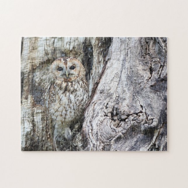 Little Camouflage Owl in Tree Puzzle (Horizontal)