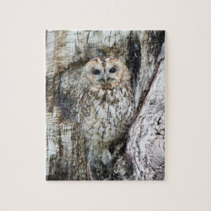 Little Camouflage Owl in Tree Puzzle