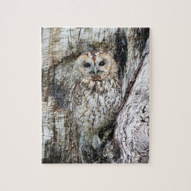 Little Camouflage Owl in Tree Puzzle (Vertikal)