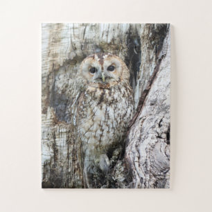 Little Camouflage Owl in Tree Puzzle