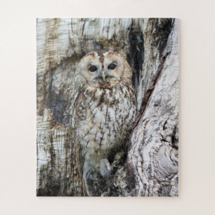 Little Camouflage Owl in Tree Puzzle