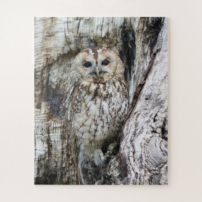Little Camouflage Owl in Tree Puzzle (Vertikal)