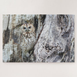 Little Camouflage Owl in Tree Puzzle