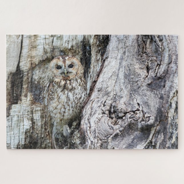 Little Camouflage Owl in Tree Puzzle (Horizontal)