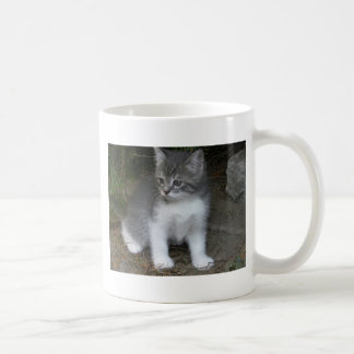 Little cat Bondhu / Kleine Katze Bondhu Kaffeetasse