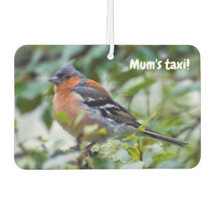 Little Chaffinch Friseur Autolufterfrischer