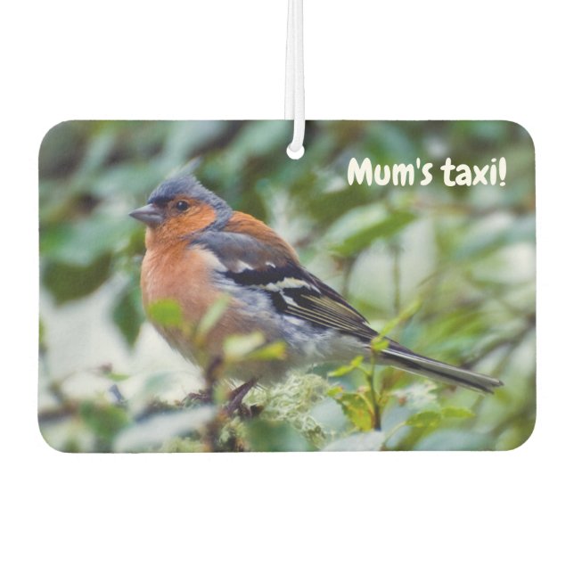 Little Chaffinch Friseur Autolufterfrischer (Vorderseite)