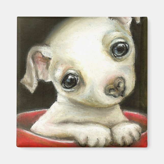 Little Chihuahua Magnet (Vorne)