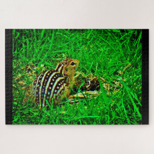 Little Chipmunk Puzzle