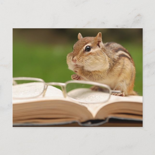 Little Chipmunk Reading Postcard Postkarte (Vorderseite)